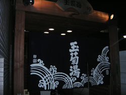 �ʋe���̂��